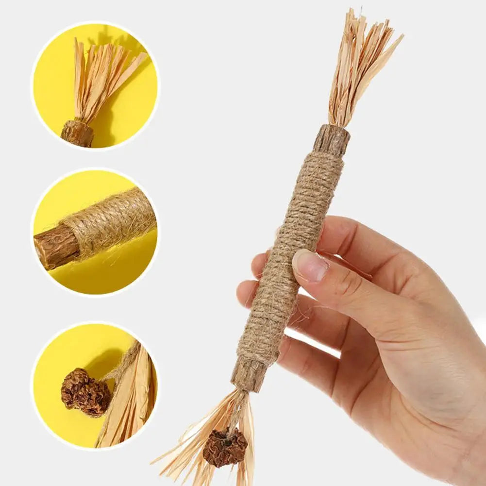 1/2/5/10PCS Pet Toy Natural Pet Cat Snacks Stick Cleaning Tooth Catnip Cat Toys Actinidia Silvervine For Training Cats Accessory