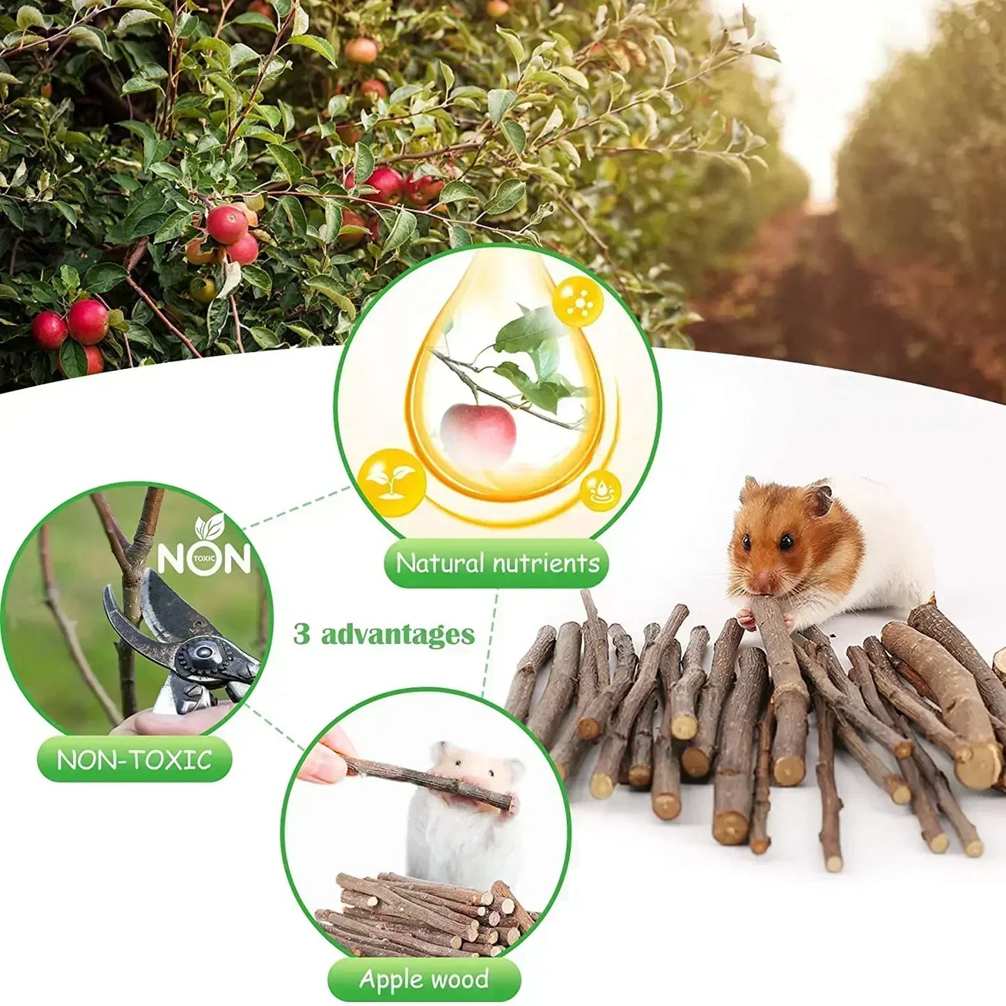 Multiple Sets of Safe Wooden Toys for Small Pets - Hamster, Rabbit, Totoro, Guinea Pig, Parrot. Ideal Daily Necessities