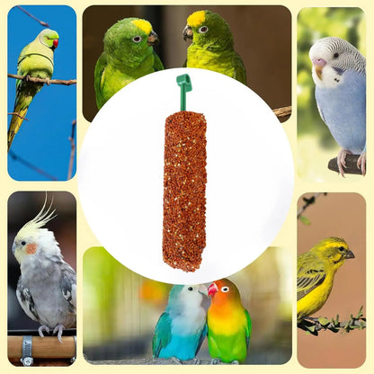2PCS Parakeet Treats Sticks Bird Snacks Training Food Rewards Chewing Foraging Snacks for Myna Parakeet Finch Conure Parrot