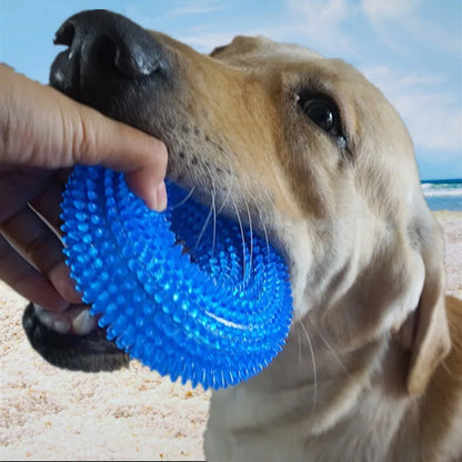 Strong Donut TPR Pet Dog Chew Toys with Squeak for Small Medium Dogs French Bulldog Corgi Border Shepherd Puppy Pets Accessories
