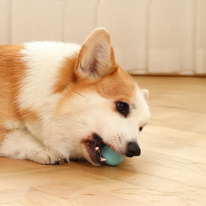 2023 NEW Electric Dog Toys Smart Puppy Ball Toys For Cat Small Dogs Funny Auto Rolling Ball Self-moving Puppy Games Toys Pe