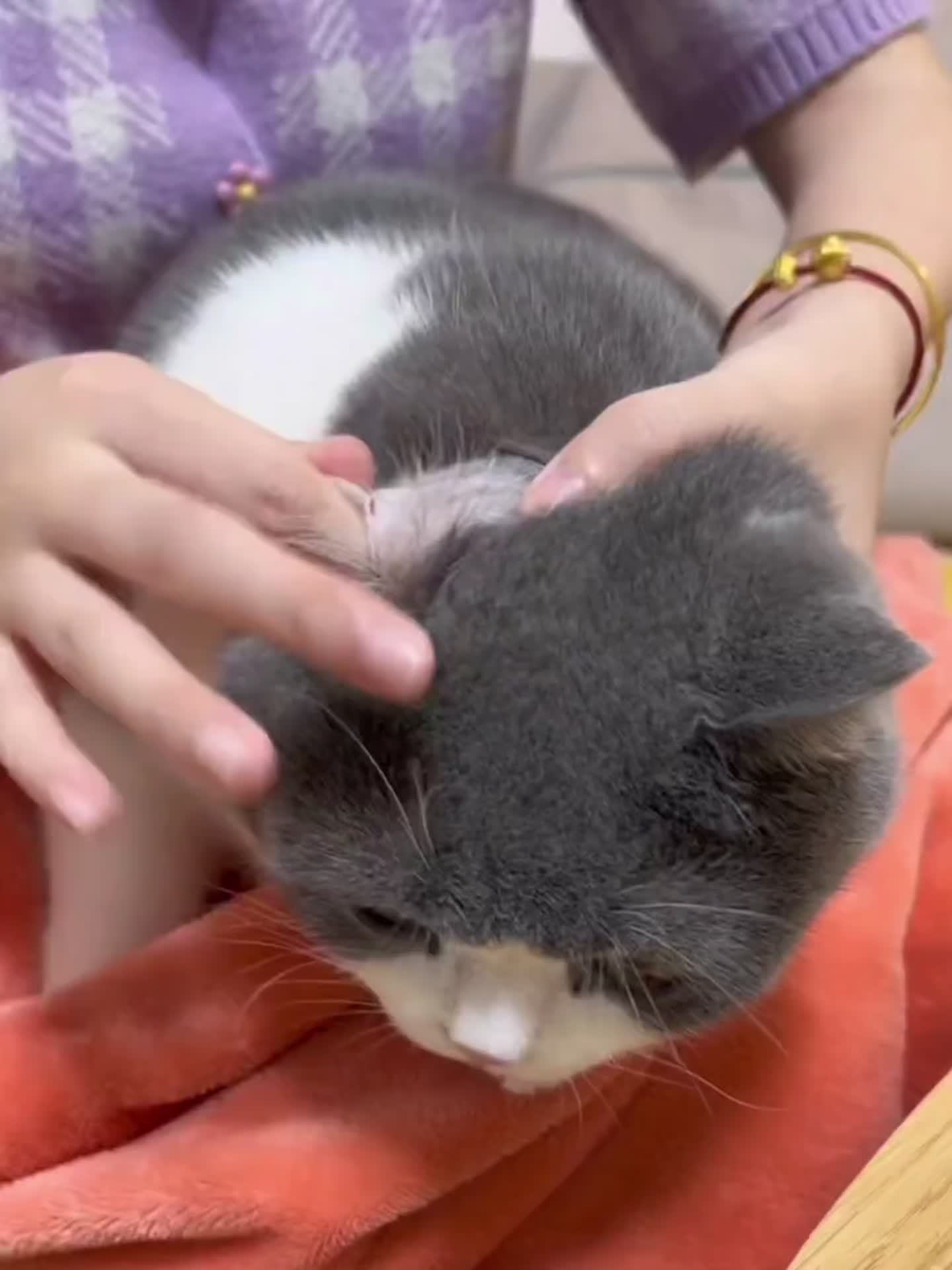 130pcs Pet Cleaning Wipes for Cats & Dogs - Gentle Eye & Ear Care, Removes Tear Stains & Earwax, Safe for All Breeds, Easy to Use, Promotes Healthy Light, Pet Grooming Essentials, Pet Grooming Supplies, Sleek Packaging, Durab