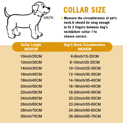 Titanium Steel Stainless Steel P Chain Colorful Cuban Chain Pet Dog Chain Heavy Duty Anti Slip Dog Collar