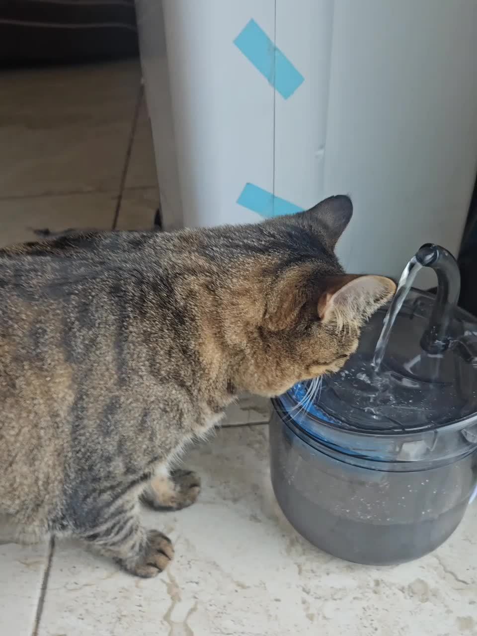 60.87oz Smart Cat Water Dispenser with Faucet, Dog Water Dispenser, Transparent Water Dispenser, Pet Water Filter Feeder