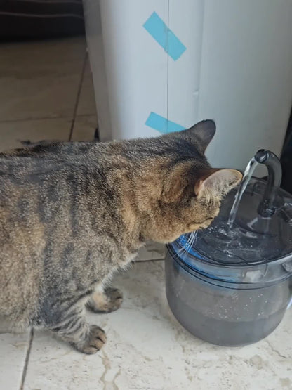 60.87oz Smart Cat Water Dispenser with Faucet, Dog Water Dispenser, Transparent Water Dispenser, Pet Water Filter Feeder