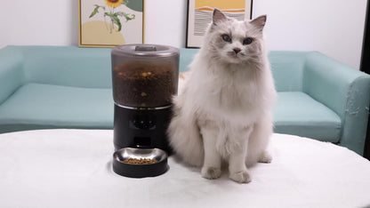 NPET 4L 140.8OZ Automatic Pet Feeder Tailored Healthy Meals Dispenses 1-9 Portions with Accurate Control 4L Large Capacity Available in Button And APP Versions