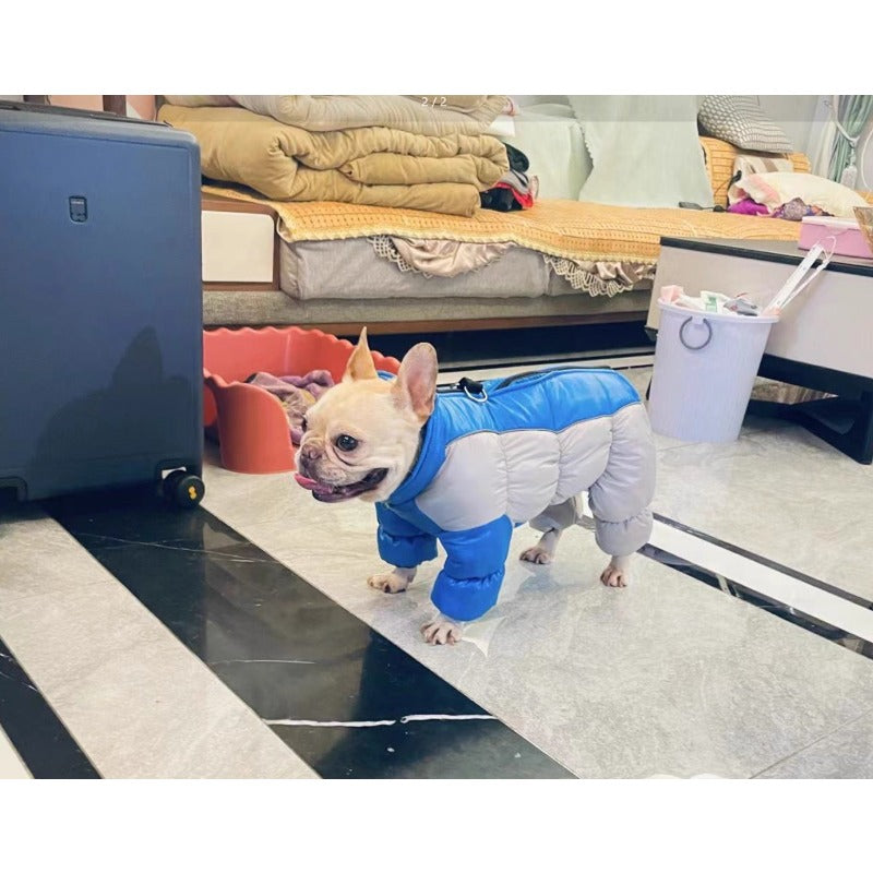 Waterproof Windproof & Reflective Dog Jacket with Hood-like Turtleneck & Full-Leg Coverage - Winter Coat for Small/Medium Dogs, Multi-Color Options (Red/Yellow/Pink/Green/White) - Machine Washable Pet Warm Clothing