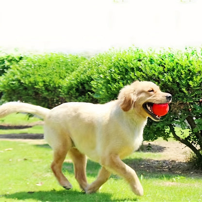 Durable Dog Chew Toy - 1pc Rubber Ball for Pet Teeth Grinding & Interactive Play