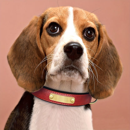 [Custom Dog Collar] Soft Padded Custom Engraved Dog Collar with ID Nameplate - Adjustable Pet Collars for Small to Large Dogs - Solid Pattern, Durable Material, Personalized