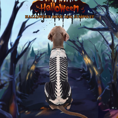 Pet Halloween Dressup Skull Transformation High elasticity sports not tight three-dimensional cut more fit four-legged long-sleeved design home anti-shedding Halloween Transformation Skull Bone Dog Costume