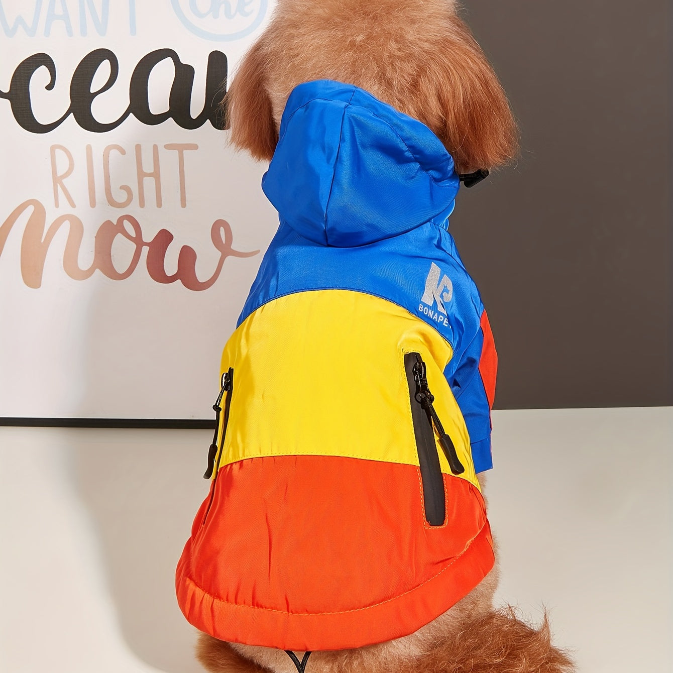 Colorful Waterproof Pet Jacket for Medium/Large Dogs - Durable 100% Polyester, Easy-Zip Closure with Hood, "MB" Design - Ideal for Outdoor Adventures, Dog Raincoat Waterproof
