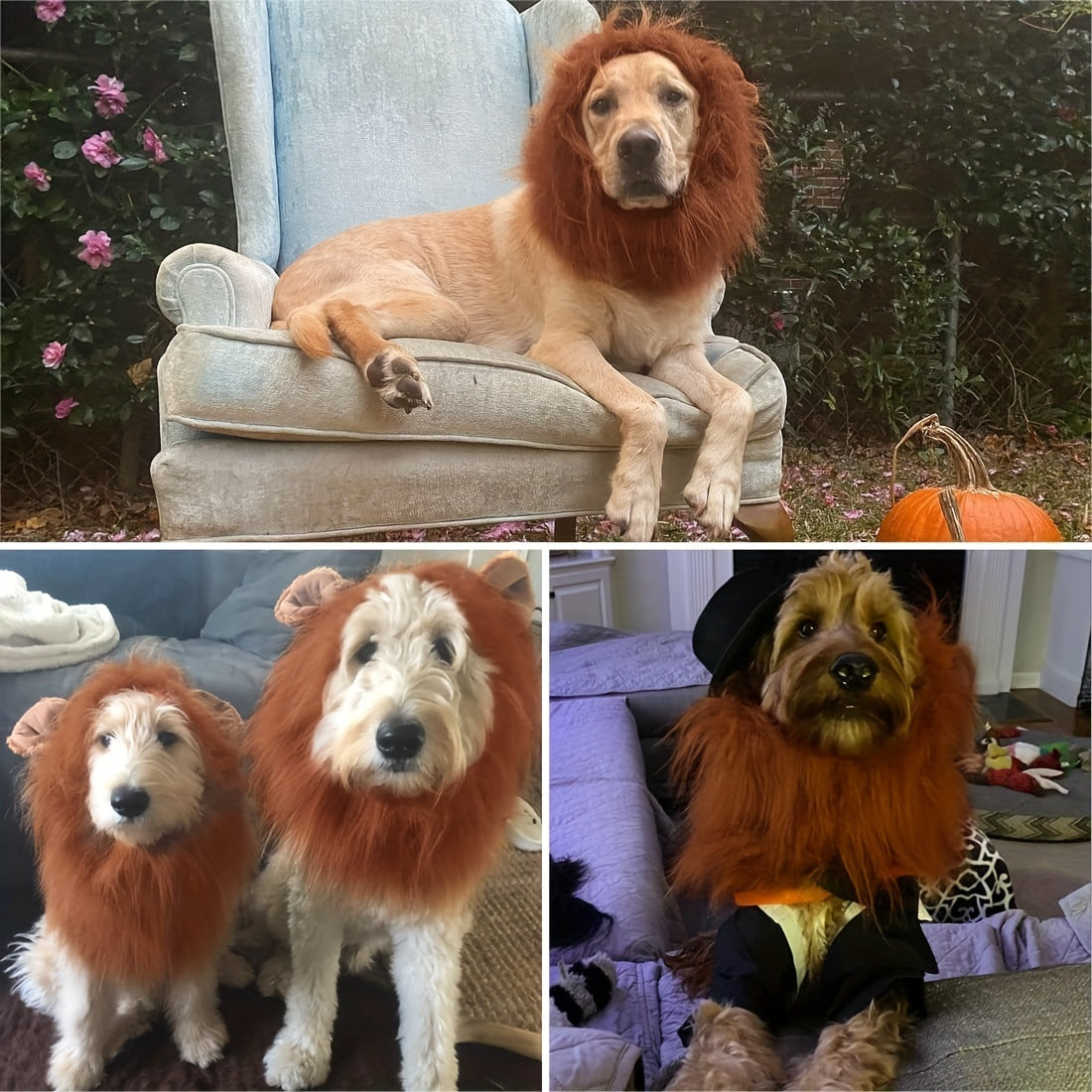1pc Lion Mane Dog Costume - Adjustable Polyester Fiber Pet Wig for Medium & Large Dogs - Festive Christmas & Halloween Gift Accessory - For Dog Owners -  Perfect for Parties & Photoshoots