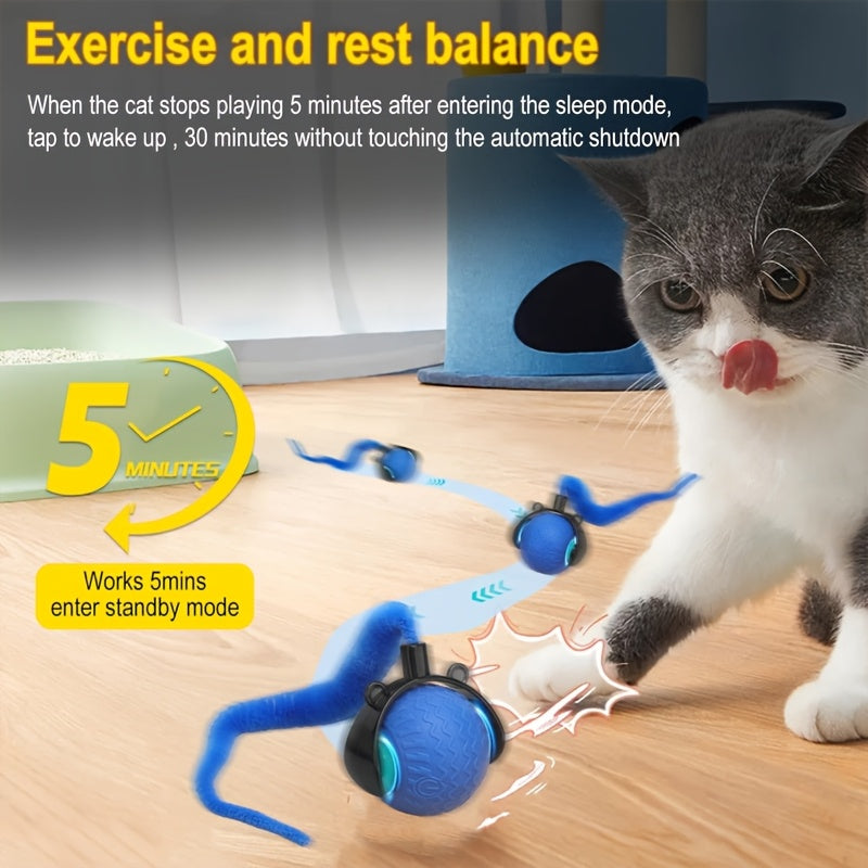 Interactive Cat Toy for Indoor Cats, Speedy Ball with Tail, Automatic Moving Cat Balls for Bored Indoor Adult Cats, 360°Automatic Rolling Ball Toy, Two Speed Adjustment, Cat Entertainment, Engaging Cat Plaything, Fun Cat Acc