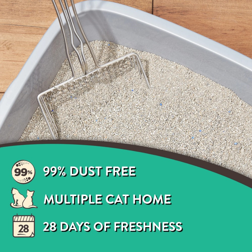 2-Pack Special Kitty Scoopable Tight Clumping Cat Litter, 20 lb Each - 99% Dust-Free, Long-Lasting Fresh-Scented Odor Control with 20% More Clumping Power, Includes Handle & See-Through Window, Recyclable Plastic, Great for M