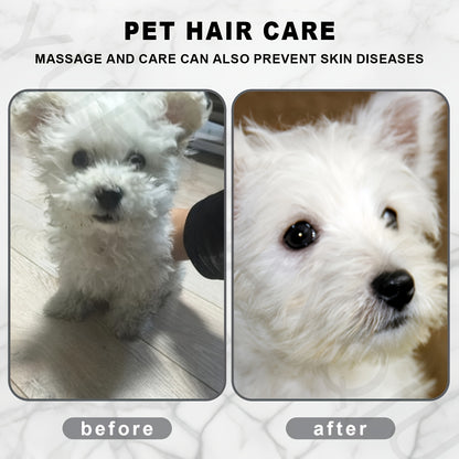 2-in-1 Pet Hair Dryer and Grooming Brush with 3-Speed Temperature Control, Quiet Operation for Dogs After Bathing, White with Green Accents, Plastic Material, Ideal for Wet or Dry Pet Care, Dog Grooming