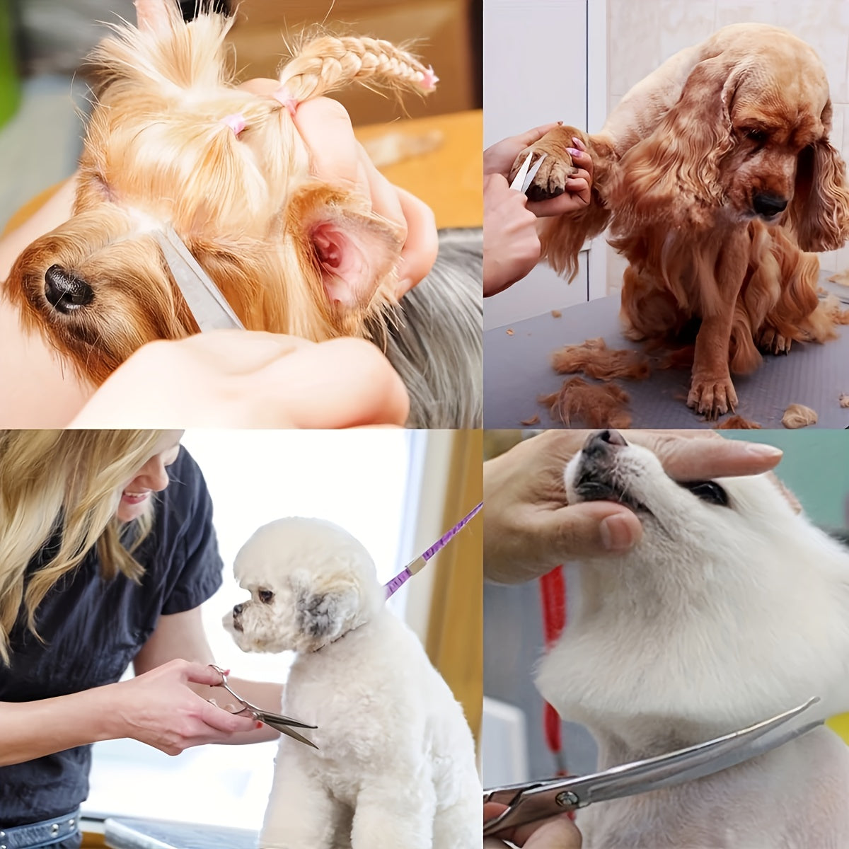 Professional Pet Grooming Scissors Set - Includes 1 x 6.5-inch Thinning Shears, 1 x 6.5-inch Curved Shears, 1 x 6.5-inch Straight Shears, 1 Pet Comb, 1 Cleaning Cloth, and 1 Black Case