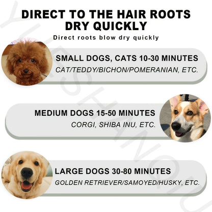 2-in-1 Pet Hair Dryer and Grooming Brush with 3-Speed Temperature Control, Quiet Operation for Dogs After Bathing, White with Green Accents, Plastic Material, Ideal for Wet or Dry Pet Care, Dog Grooming